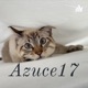 Azuce17