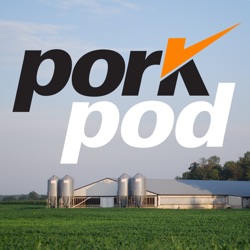 Pork Checkoff Digital Strategy Gets Results