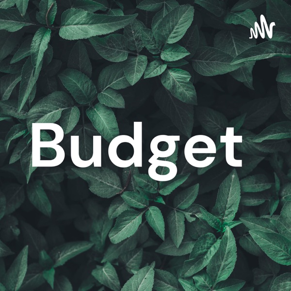 Budget