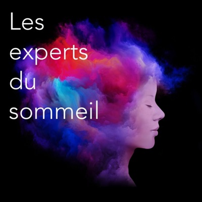 LES EXPERTS ESPRITSOMMEIL