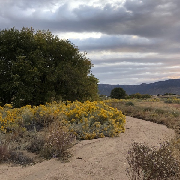 High Desert Presbyterian Church Sermons