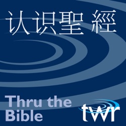 撒迦利亞書 12:4-14