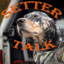 Episode 23: Andy Weik, wildlife biologist & red setter enthusiast