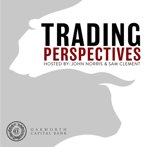 Trading Perspectives: An Economic Podcast