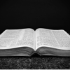 Empowered Bible Studies - Empowered Bible Studies