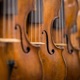 ヴァイオリン専門店・文京楽器のポッドキャスト
VOCE DEL MUSICISTA 
