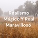 Realismo Mágico Y Real Maravilloso 
