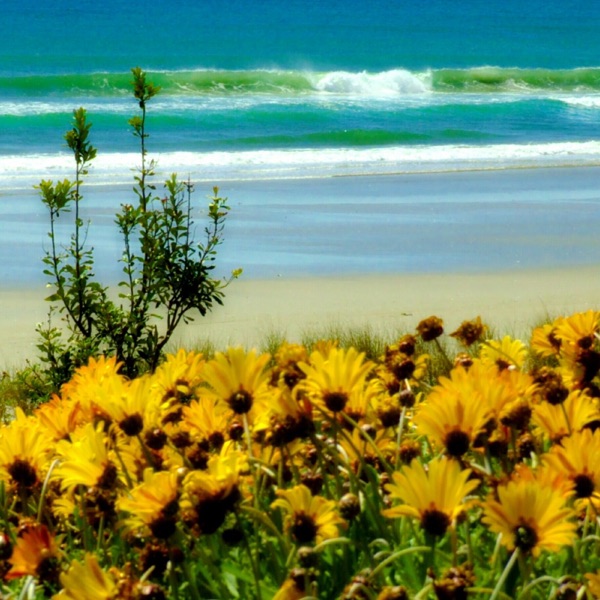 厉害了我的天·黄鸝聊古诗