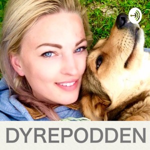 Dyrepodden