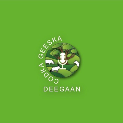 Radio Deegaan Codka Geeska