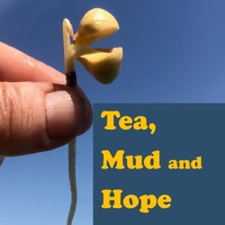 Tea education for positive change, a chat with my wonderful tea friend Sooz :)