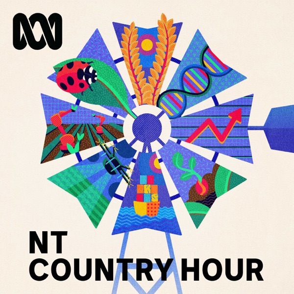 Artwork for Northern Territory Country Hour