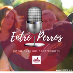 Entre Perros 01 | Porque muerden los perros y como corregirlo