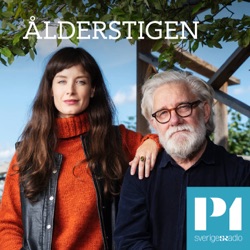 Ålderstigen – om 80+ och samtalet