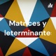 Matrices y determinantes