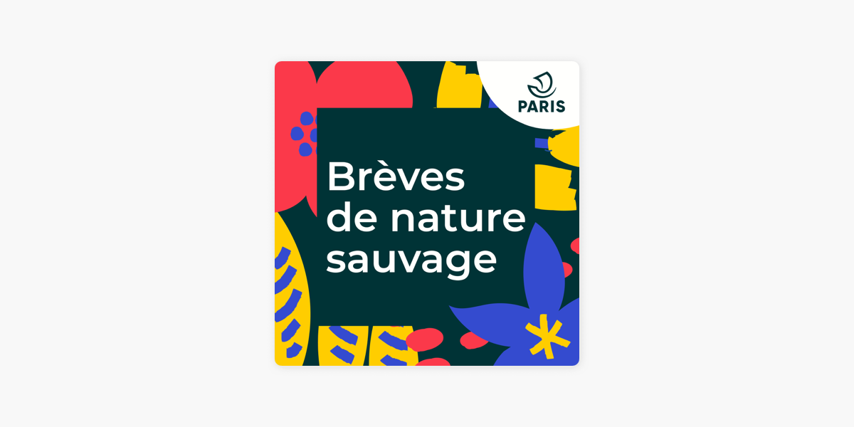 Le Mulot sylvestre, Brèves de nature sauvage à Paris