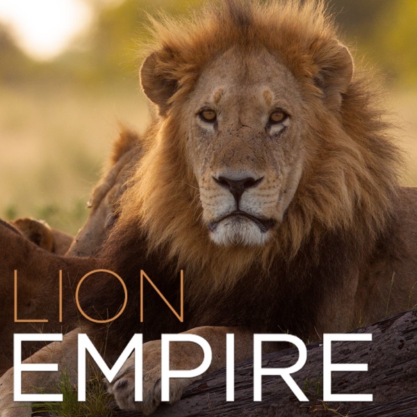 Lion Empire (HD)