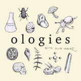 Image of Ologies with Alie Ward podcast