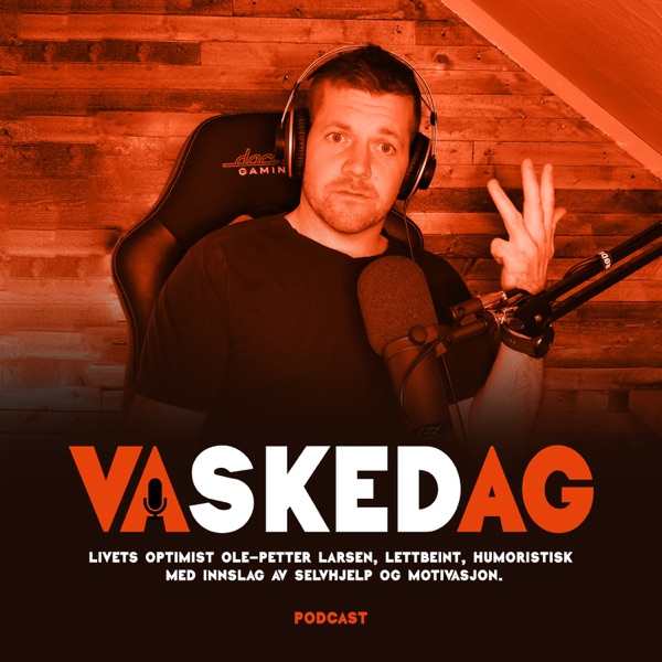 Vaskedag Artwork