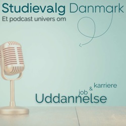 Studievalg Danmark