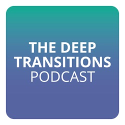 Episode 5: A good day at the office? The role of IT and the central office in Deep Transitions