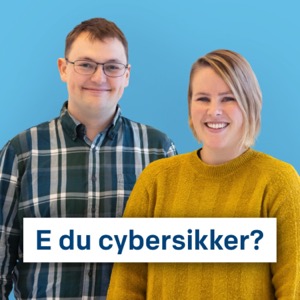 E du cybersikker?