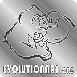 Evolutionary.org 534 - Science of what happens on cycle to HPTA and when you come off