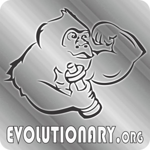 Evolutionary Radio