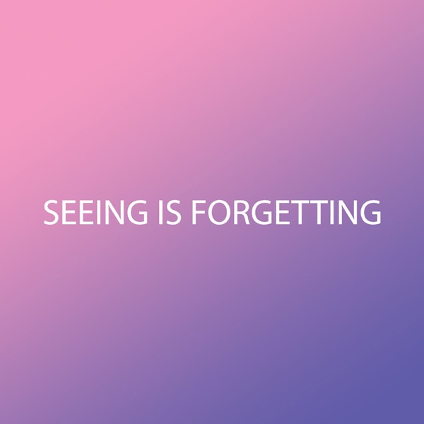 Seeing Is Forgetting with Jason Bailer Losh