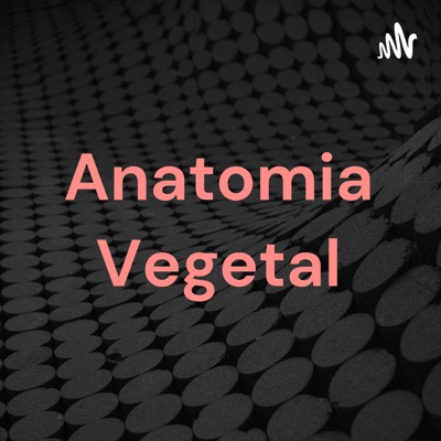 Anatomia Vegetal