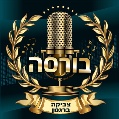 בורסה והשקעות:צביקה ברגמן - המוח