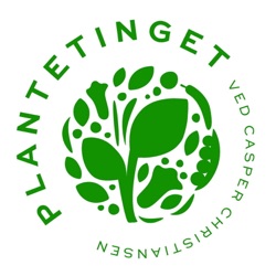 E135 - Vegetariske Udvekslingsstuderende og Plantebaserede Oste