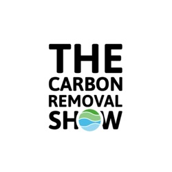 S2 #9 | Ocean-based carbon removal part 1: What's so special about kelp?