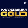 Maximum Gold Wrestling Show!! artwork