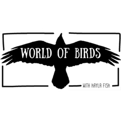 New World Sparrows