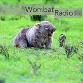 Wombat Radio - @TheMattmosphere