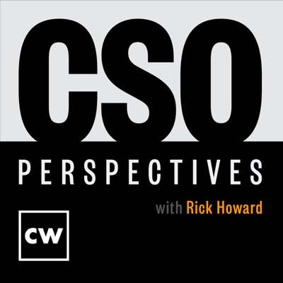 CSO Perspectives CSO Perspectives
