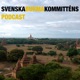 Podcast: Burma ett år efter statskuppen