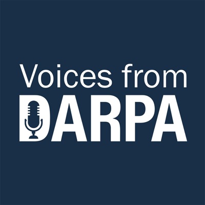 Voices from DARPA:DARPA
