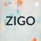 ZIGO