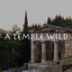 A Temple Wild: Greek Mythology and the Mediterranean Landscape