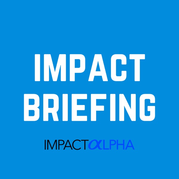 Impact Briefing Artwork