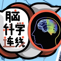 脑科学连线