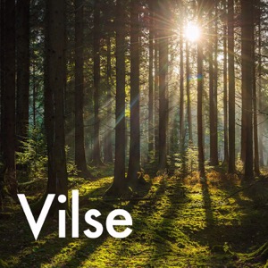 Vilse