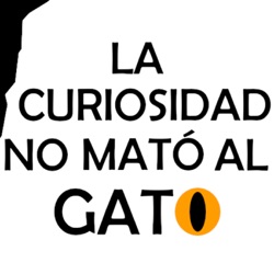 La curiosidad no mató al gato