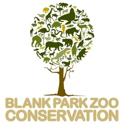 Saving Animals Episode 93: Blank Park Zoo's Conservation Efforts