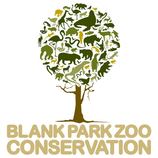 Saving Animals with Blank Park Zoo Artwork