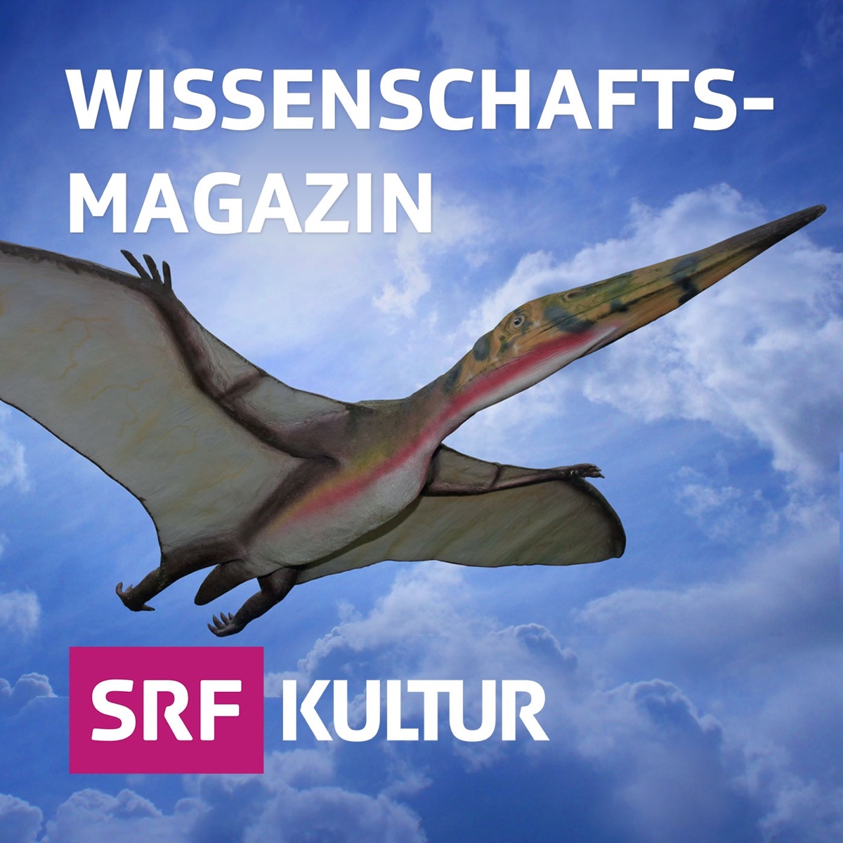 Trotz Klimawandel: Zehntausende leere Flugzeuge fliegen über Europa