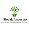 Slovak Ancestry artwork