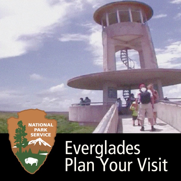 Everglades - Plan Your Visit Artwork